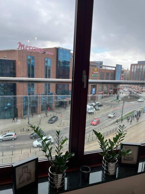 New Apartment Old Town -6 People - 200M Town Hall Breslavia Exterior foto